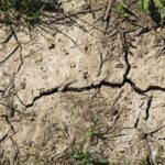 cambio-climatico_EDIIMA20181009_0921_4