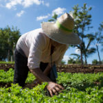 Ya puedes formarte en agroecología para "retroalimentar" tu entorno