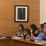 2019114_pleno_seseña
