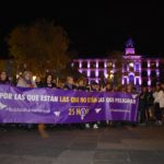 manifestación 25n
