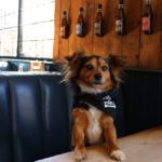 bar-4427661_1280