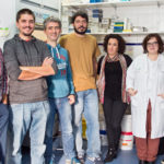 Grupo Neurología Molecular