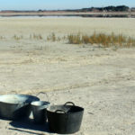 actual-Lagunas-Villafranca_EDIIMA20200131_0177_19