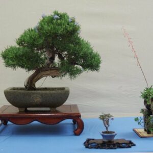 Jardinería, introducción al arte botánico o artrópodos, en la nueva oferta formativa de la Diputación