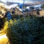 Desarticulan una organización internacional dedicada al narcotráfico con registros en Toledo y Guadalajara