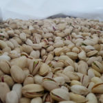 Pistachos_Domo Pistachio