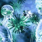 coronavirus-4924022_1920