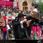 fiesta-del-olivo-de-mora