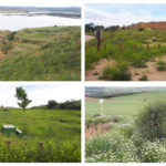 Barrancas