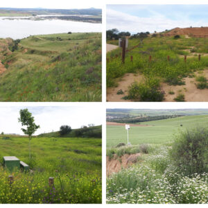 Las Barrancas de Burujón, como no se habían visto "en los últimos 40 años"