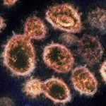 coronavirus SARS-CoV-2