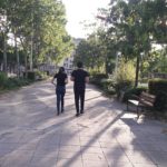 paseo toledo rosa