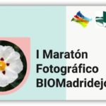 Maraton-Fotografico-Madridejos_EDIIMA20200609_0303_1[1]