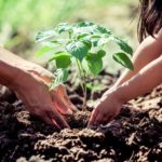 educac ambiental - Europa Press