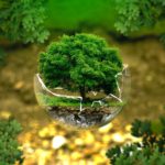medio ambiente
