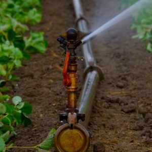 Asaja Toledo pide utilizar fondos europeos en infraestructuras de regadío en la provincia