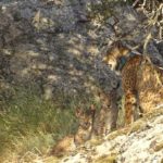 fotonoticia_20200807132533_1920
