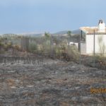 Incendio1 (1)