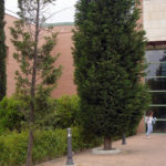 cienciassocialestalavera_TO19