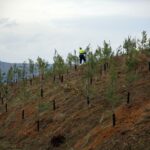 2_bosque_la_legua