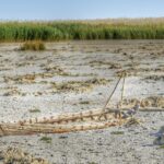 Lagunas de Villafranca de los Caballeros / Fotografía: Asociación Lagunas Vivas
