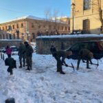 Refuerzo nevadas