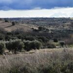 Vecinos de Méntrida se oponen a dos megaproyectos fotovoltaicos: "Es un ataque al medio ambiente y a la agricultura"