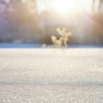nieve temporal