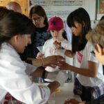 Fotografía: Museo de las Ciencias de Castilla-La Mancha