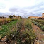 Vista-del-vivero-1-1024x768