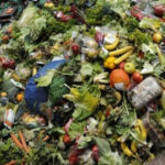 Desperdicio-alimentos_EDIIMA20181029_0618_20 (1)