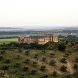 Un particular plantea en las Cortes regionales expropiar el Castillo de Cebolla, propiedad de la familia Falcó y en estado de ruina