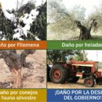 unionuniones