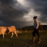 exposición fotografia ganadera campo