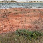 La Asociación Lagunas Vivas de Villafranca de los Caballeros "pasa de la movilización a la acción"