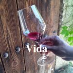 bodega vino tinto landi