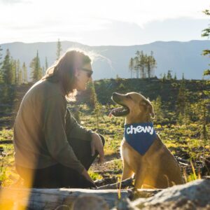 Torrijos celebra la I Feria 'Como el perro y el gato' con un punto de adopción