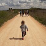 camino campo via pecuaria