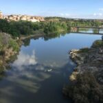 tajo patos