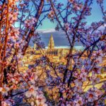 catedral turismo toledo