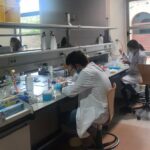 ciencia investigacion