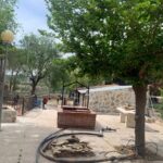 Caritas obras