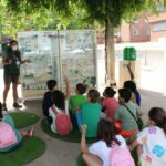 Ecovidrio contenedor vidrio reciclaje