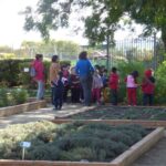 huerto escolar ecologia