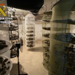 marihuana drogas plantas guardia civil