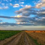 Castilla-La Mancha prepara un Código de Buenas Prácticas Agrarias para atajar la contaminación