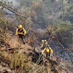 incendio carranque