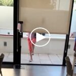 ILLESCAS ACOSO OFICINAS EMPLEA