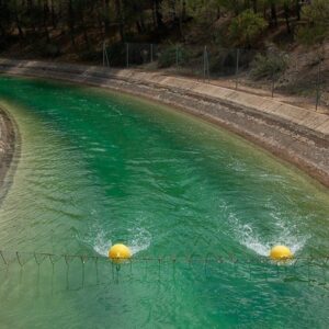 Page pide que se aprueben las nuevas reglas de explotación del trasvase y si no sucede, amenaza con "la ejecución de sentencias"