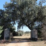 Entrada sur al parque de Montesión